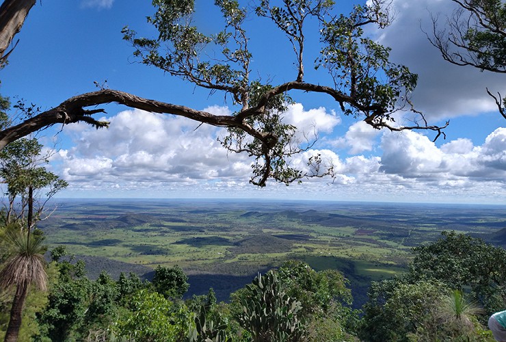 Bunya Mountains